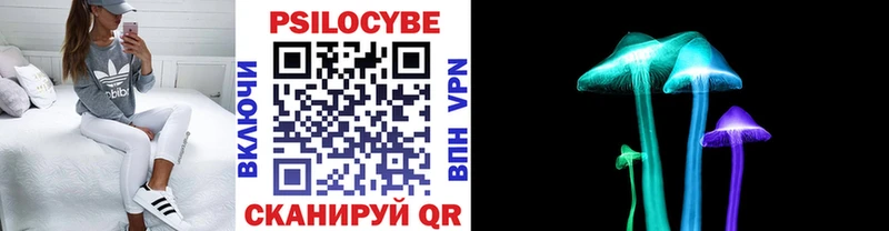 площадка Telegram хочу Болохово Псилоцибиновые грибы Magic Shrooms